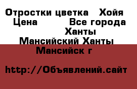 Отростки цветка  “Хойя“ › Цена ­ 300 - Все города  »    . Ханты-Мансийский,Ханты-Мансийск г.